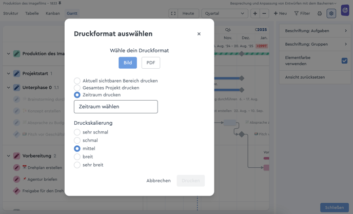 Ein Screenshot der Druckfunktion des Gantt